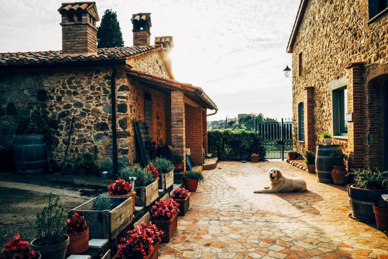Podere Orto Wine Country House Trevinano Kültér fotó