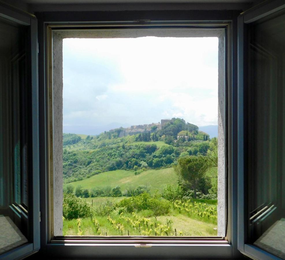 Podere Orto Wine Country House Trevinano Kültér fotó